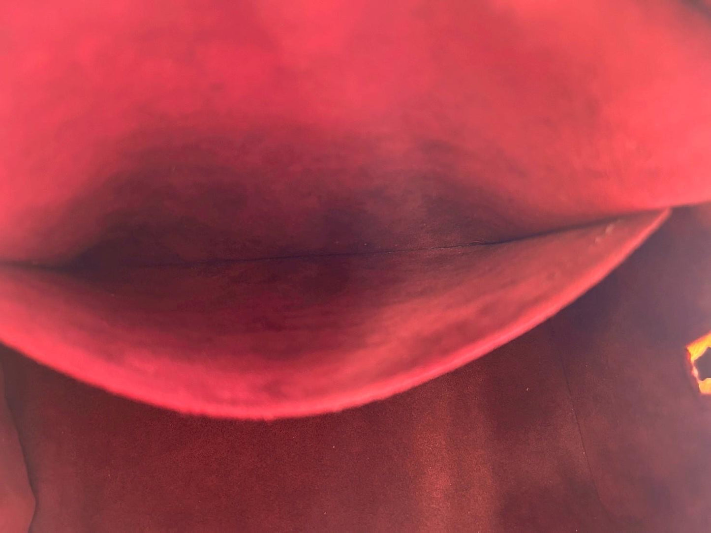 D250627-7-1チイ Louis Vuitton マルチカラー　プリシラ